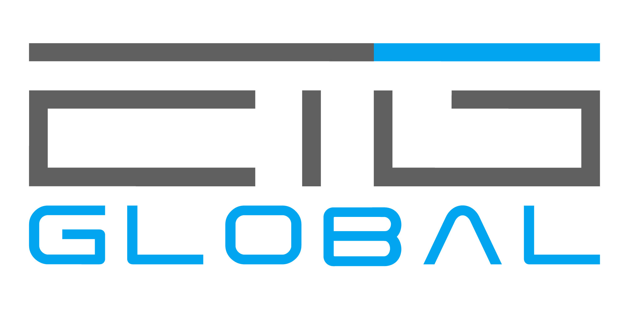FUJIFILM Holdings acquired ETG Global Information Technology Services